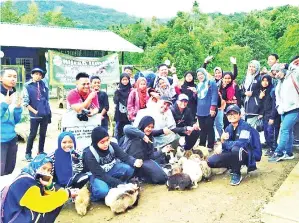  ??  ?? GURU dan murid melayan arnab di Rabbit Village.