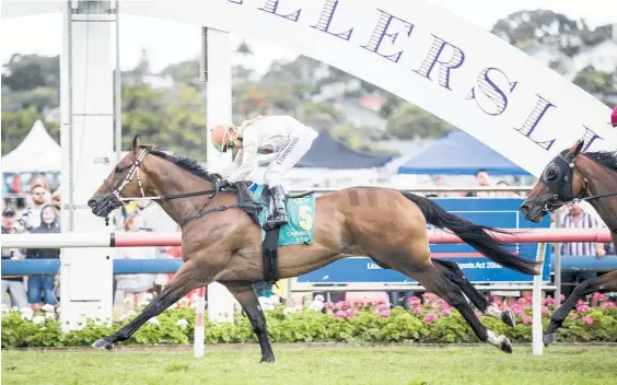  ?? Picture / Michael Craig ?? Authentic Paddy wins the Zabeel Classic at Ellerslie yesterday.