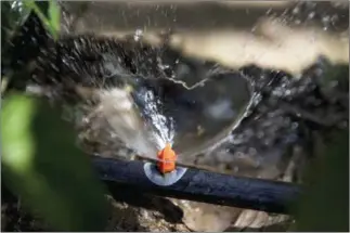  ?? YE AUNG THU ?? A plastic sprinkler nozzle, made using 3D printer technology, at a betel leaf farm in Nyaung Don township in the Irrawaddy Region.