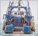  ?? PICTURE / HAWKE’S BAY TODAY ?? Commercial fishing may soon be subject to new controls, which some say seem unlikely to go far enough.