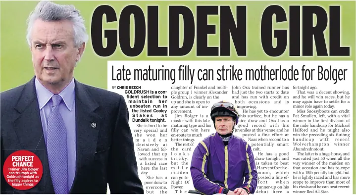  ??  ?? PERFECT CHANCE Trainer Jim Bolger can triumph with Goldrush tonight as the filly aspires to bigger things