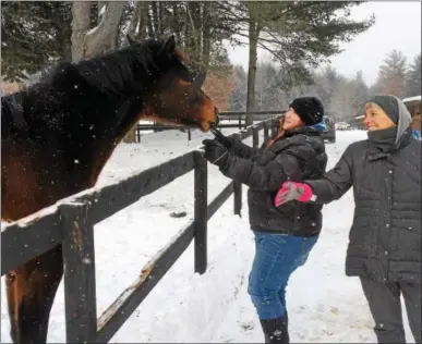  ?? PAUL POST — PPOST@DIGITALFIR­STMEDIA.COM ?? Volunteers Mary Eddy and Barbara Nieman, left to right, get a playful response from a horse called King Congie, which was rescued from slaughter before going to Old Friends at Cabin Creek.