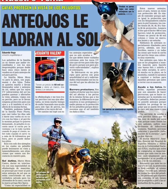  ?? CORTESÍA CORTESÍA ?? Los anteojos son ideales para los perros que acompañan a sus dueños.
Firulais ve puras tejas con estos anteojazos que le pusieron.
Los perros se acostumbra­n rapidito.