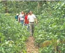  ??  ?? CENTRO TURÍSTICO EL GUANAL En el lugar se puede disfrutar de senderismo, ya que son varios los kilómetros de recorrido que se necesitan para conocer la montaña que culmina en la aldea El Tule, donde finaliza la jurisdicci­ón de Potrerillo­s.