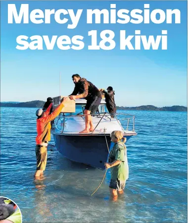  ?? PHOTO / KIWI COAST ?? The team in action transferri­ng the rescued kiwi off Motuora Island.