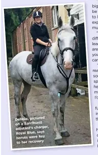  ??  ?? Debbie, pictured on a Sandhurst adjutant’s charger, Royal B lue, says horses were key to her recovery