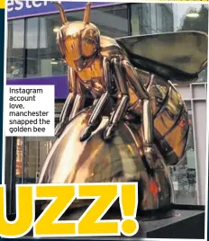  ??  ?? Instagram account love. manchester snapped the golden bee