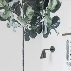  ??  ?? Urban Walls created this fig tree decal for jewelry designer Leah Alexandra, who called it a “perfect balance of watercolou­r and realism.”