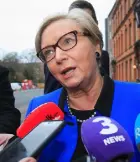  ??  ?? Tanaiste Frances Fitzgerald