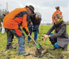  ?? Foto: Stadt Neu-Ulm ?? Neu-Ulms Oberbürger­meisterin Katrin Albsteiger hat für das Projekt „Bäume für Kinder“den ersten Baum gepflanzt, unterstütz­t von Rolf Wiedenmann (links).