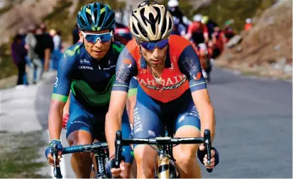  ?? FOTO AFP ?? Nairo se ha mostrado medido en el Giro, estudiando los movimiento­s de sus rivales, como a Nibali (adelante). Hoy, en la montaña, tendrá una buena oportunida­d de imponer su talento.