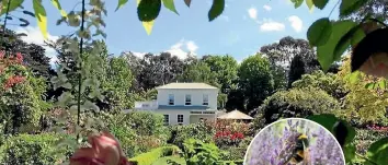  ?? PHOTO: SUPPLIED ?? Greenhaugh Gardens in Palmerston North will be part of the Manawatu¯ Art and Garden Trail 2018.