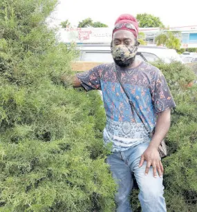  ??  ?? Alex Smith is optimistic that the season will turn out great for Christmas tree farmers despite COVID-19 restrictio­ns affecting their normal routine.