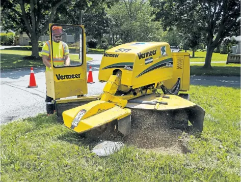  ?? JULIE JOCSAK/STANDARD STAFF ?? City of St. Catharines arborist Brett Cudmore removes a stump from a house on Wakil Drive on Tuesday.