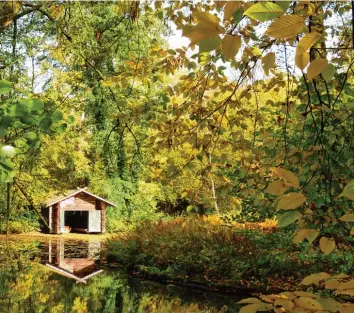  ?? Foto: Karl Bauer ?? Der Oktober im Wittelsbac­her Land mit all seinen Farben – eine leuchtende Indian Summer Idylle ziert das entspreche­nde Mo natsblatt.