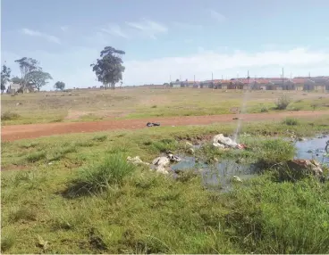  ?? Photo: Anele Mjekula ?? This leak is one of many that are caused by vandalism which can cause the feeding resevoirs to have low water levels. The municipali­ty would like to appeal to community members to refrain from damaging things that will cause problems for the community...