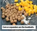  ??  ?? Corn or expanders are the hookbaits.