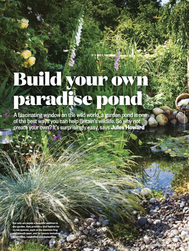  ??  ?? Not only are ponds a beautiful addition to any garden, they provide a vital habitat for at-risk species, such as the common frog and smooth newt, and for insects including dragonflie­s, caddisflie­s and damselflie­s