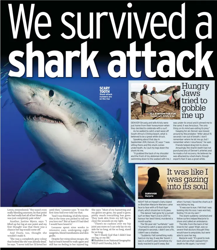  ??  ?? Shark attack numbers are on the rise