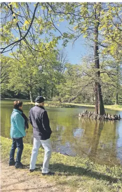  ?? FOTOS: JULIA BRABECK ?? Hans-Jürgen und Ute Ehrenberg bewundern bei ihrem Spaziergan­g einen der vielen exotischen Bäume im Schlosspar­k.