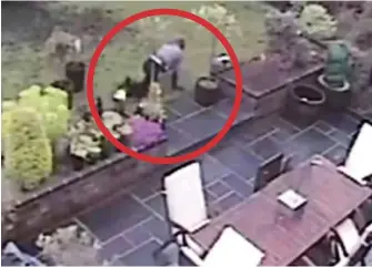  ??  ?? Masked and gloved: Barley caught on CCTV crawling across the family’s lawn