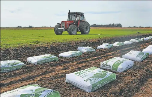  ??  ?? LIGANTE HIDRAÚLICO. Holcim participó en la última Agroactiva y realizaron un convenio estabiliza­ndo los caminos de la expo.