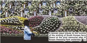  ?? EPA ?? A woman pays tribute to the victims of the sinking of South Korean ferry
Sewol at the joint memorial altar in Ansan Hwarang Park yesterday.