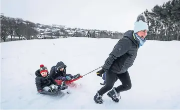  ?? Pictures by Mhairi Edwards. ?? WINTER WONDERLAND: Dog walkers on Perth’s South Inch yesterday, top; Adam, 3, and Kuba, 6, Kosecka are pulled along by mum Lidia in Dundee, above; and, left, Tinker the lurcher seems to enjoy the white stuff in Dundee.