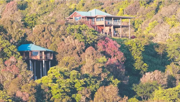  ??  ?? HIDDEN PARADISE: The four-and-a-half star Mt Quincan Crater Retreat is on a 8ha nature reserve home to myriad flora and fauna, including Lumholtz’s tree kangaroo.