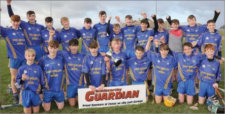  ??  ?? The victorious Ballynastr­agh Gaels squad.