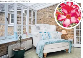  ?? Pictures: GETTY, SHUTTERSTO­CK ?? GLASS ACT: Bring colour indoors with pretty plants that like the warm