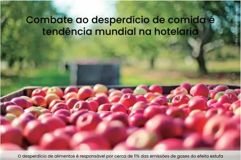  ??  ?? O desperdíci­o de alimentos é responsáve­l por cerca de 11% das emissões de gases do efeito estufa