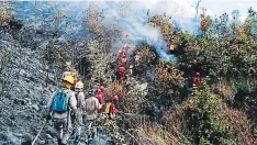  ?? FOTO: CORTESÍA FF AA ?? Más de 70 personas acudieron en rescate del bosque. Bomberos, FF AA y Copeco, entre otros, acudieron a la zona del siniestro.