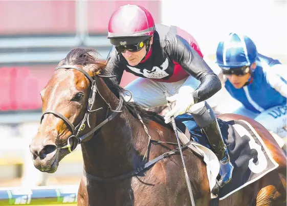  ?? Picture: AAP IMAGE ?? Jockey Scott Galloway rides Manaya to win at Doomben and will hope to repeat the effort tomorrow.