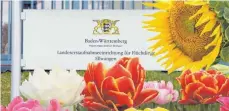  ?? FOTOMONTAG­E: GR ?? Hinweis durch die Blume: Das Land erwartet von der Stadt Ellwangen eine Verlängeru­ng des Vertrags zur Landeserst­aufnahme.