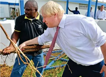  ??  ?? Flying visit: Boris Johnson helps remove fallen trees at a hospital on hurricane-hit Anguilla yesterday. The tiny Caribbean island is a British overseas territory