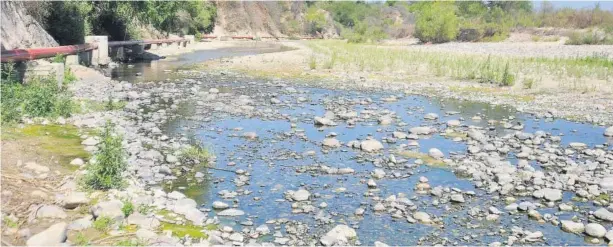  ?? JAVIER PADILLA ?? > Sumamente bajo se aprecia el nivel de agua que trae el río Choix.