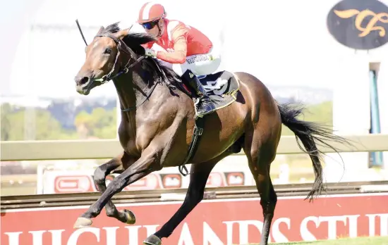  ?? Picture: JC Photograph­ics ?? CLASSY: Majestic Mambo, formerly with Paul Peter, is good enough to win in Dubai, Hong Kong and England, says Mike de Kock.