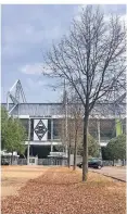  ?? FOTO: SORGATZ ?? Etliche Bäume, wie hier im Borussia-Park in Mönchengla­dbach, haben ihre Blätter abgeworfen.