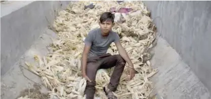  ??  ?? NOIDA, India: In this June 8, 2017 photo, Indian boy Brijesh, who claims to be 16 year old but doesn’t know his birthday, poses for a photo as he sits on corn stalks next to a busy expressway. — AP