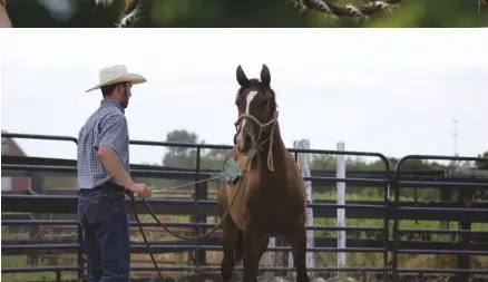  ??  ?? If your horse doesn’t seem to be focused, take a few minutes, letting him work in the way he wants, to settle his mind and body.