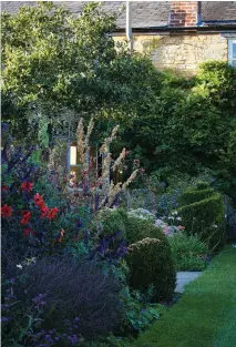  ??  ?? Above Although flowers are few and far between in Louise’s garden, she loves moody purples, such as Verbena officinali­s var. grandiflor­a ‘Bampton’, which, Louise says, are “easy to live with” and don’t fight with her favoured greens.