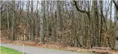  ?? Foto: Helmut Bader ?? In einem Waldstück bei Bad Wörishofen soll ein über 40 Meter hoher Funkturm entstehen.