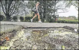  ?? JOHN SPINK /JSPINK@AJC.COM ?? In this recent photo, Renee Houle walks past a pool of pollen that gathered along Lionel Lane in Atlanta. The morning and afternoon rain couldn’t erase March 28 from reaching one of the highest pollen counts so far this year: 2,587 particles of pollen...