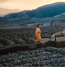  ?? RON ELLIOTT/PHOTO KATHMANDU ?? In this photo, a Buddhist monk’s orange attire makes for a striking contrast to the surroundin­g terrain and the early morning light in an agricultur­al region of Nepal.