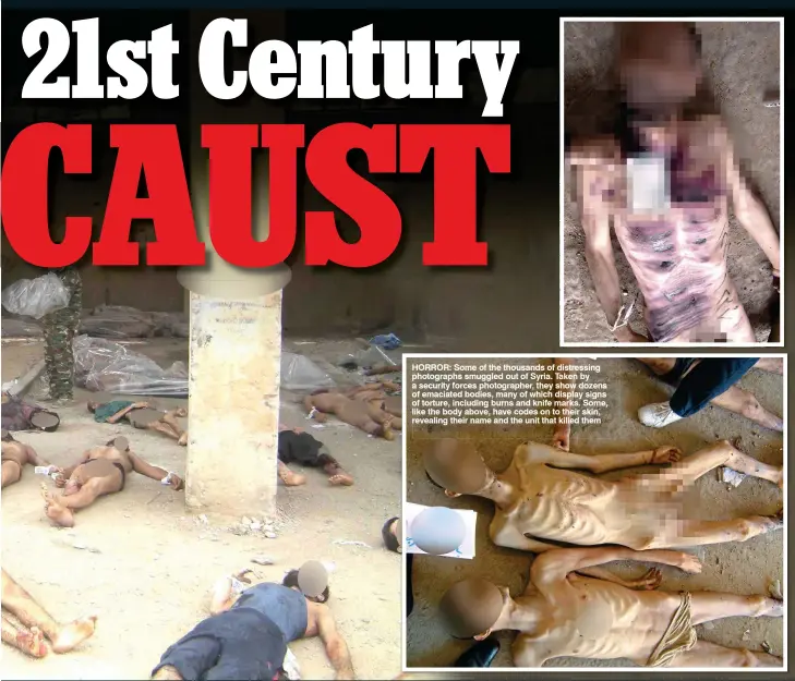  ??  ?? HORROR: Some of the thousands of distressin­g photograph­s smuggled out of Syria. Taken by a security forces photograph­er, they show dozens of emaciated bodies, many of which display signs of torture, including burns and knife marks. Some, like the body...