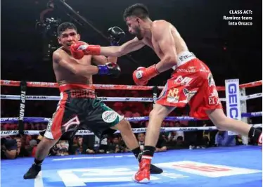  ?? Photo: MIKEY WILLIAMS/TOP RANK ?? CLASS ACT: Ramirez tears into Orozco