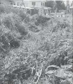  ??  ?? The drain that the car hurtled through before ramming into the fence in Vreed-en-Hoop yesterday