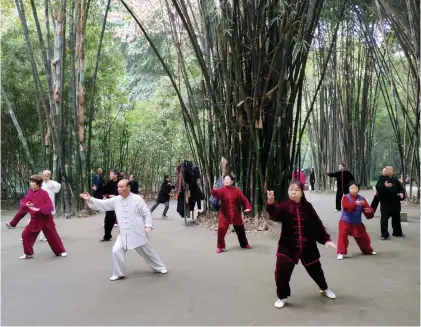  ??  ?? 朝から望江楼公園で太­極拳をする市民たち（写真・続昕宇／人民中国）