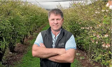  ??  ?? OOB organics chief executive Robert Auton says Asian distributo­rs value New Zealand’s reputation for high food standards.